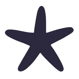 Hidden Starfish