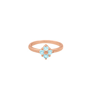 Aquamarine-Lucky-Clover
