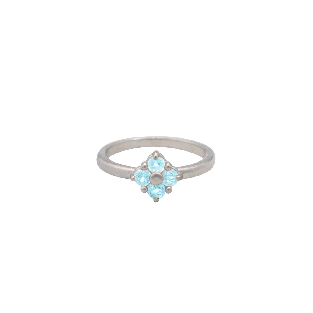 Aquamarine-Lucky-Clover