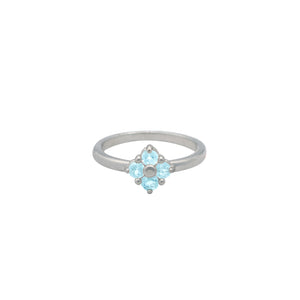 Aquamarine-Lucky-Clover