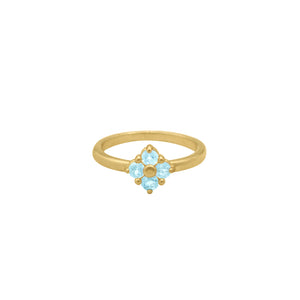 Aquamarine-Lucky-Clover